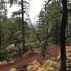 Looking back at the trail, and a bit of a viewpoint, from the Pat Mullen Spur