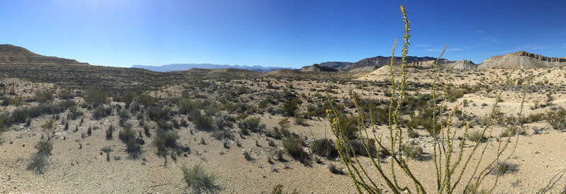 Trails in vast desert.