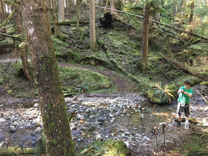 Filling up water after leaving logging road on way up to Mount Killam.