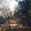 Along the Mount Umunhum Trail.