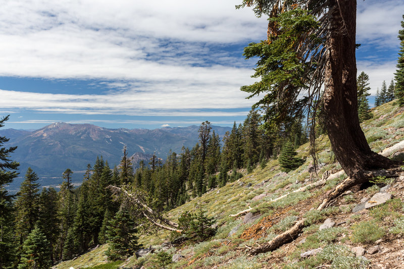 Eddy Range from the steep ascent up Hidden Valley.