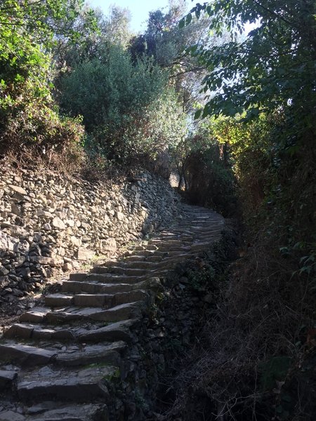 Stairs up and up and up!