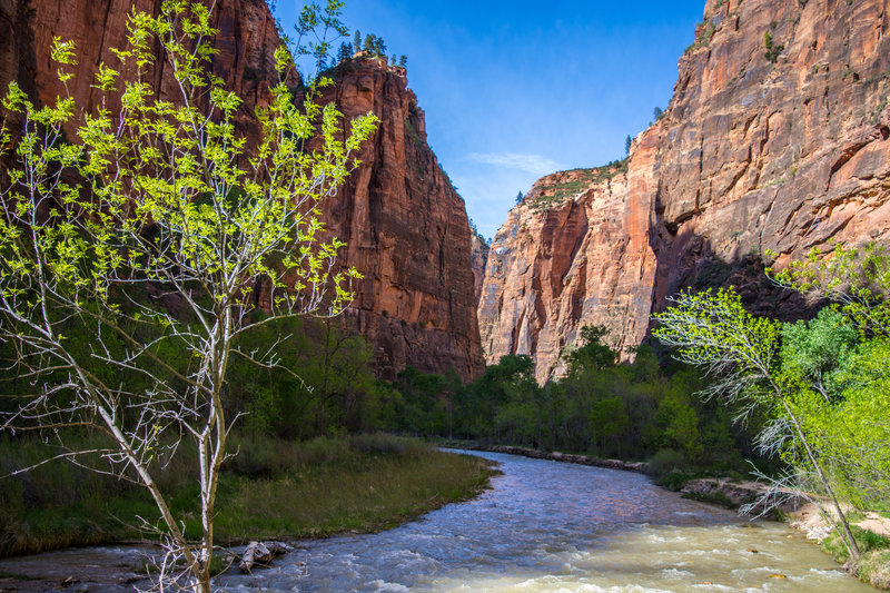 Zion National Park.