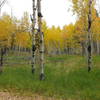 Plenty of fall colors on this trail.