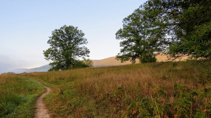 An early autumn crossing of the meadows of Schunnemunk State Park