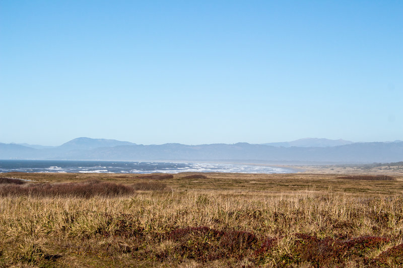 Dunes and grassy meadows of Tolowa Dunes State Park