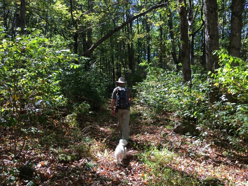 Rocky Branch Trail early fall.