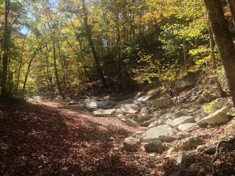 Crossing Potato Run Creek on the Adventure Hiking Trail. The creek is pretty much always dry somehow. This crossing occurs after you drop in from the old forest road.