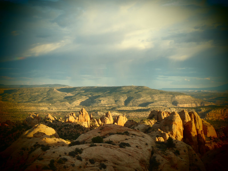 Looking southward among the fins