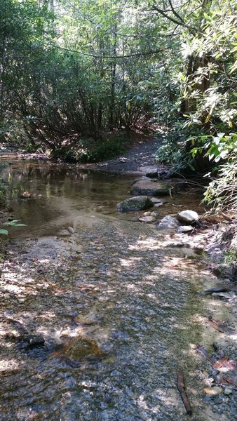 The crossing at Briery Fork Creek.