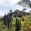 View to the west at the southern end of White Canyon Trail.