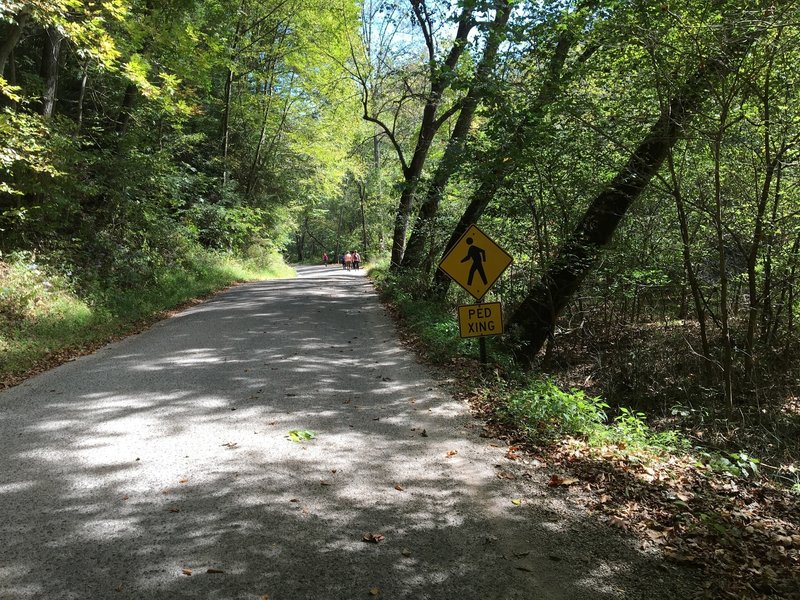 Trail along Clear Creek Road.