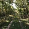 Doubletrack/gravel pipeline service road.