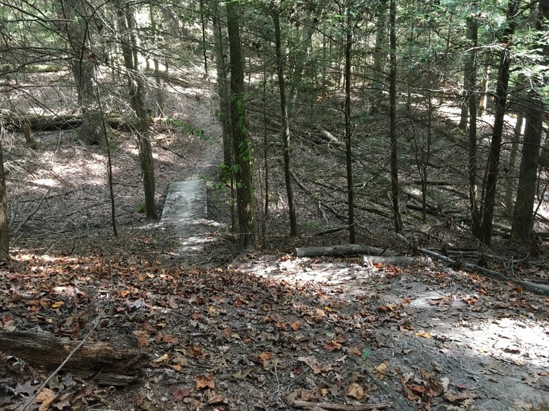 Bridge between steep trail sections.