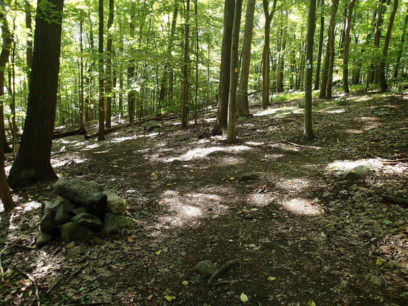 Second junction with the White Trail.