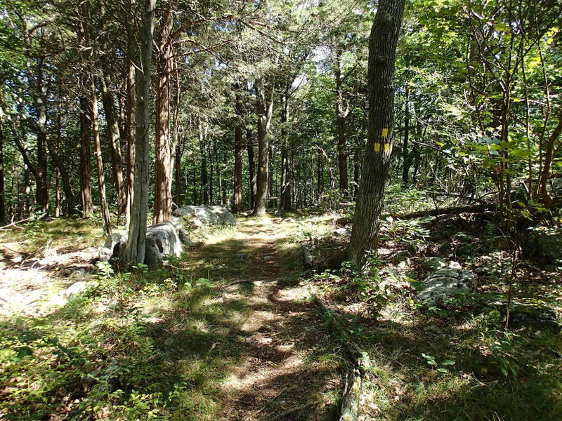 End of trail - start from the Red Trail.