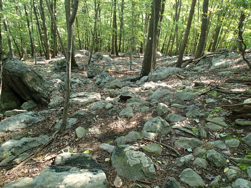 The very rocky White Trail.