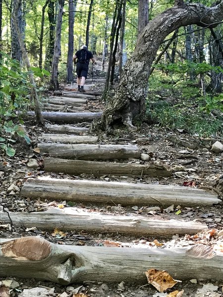 The stairway to heaven - it's a lot of steps!