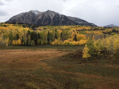 Fall colors.