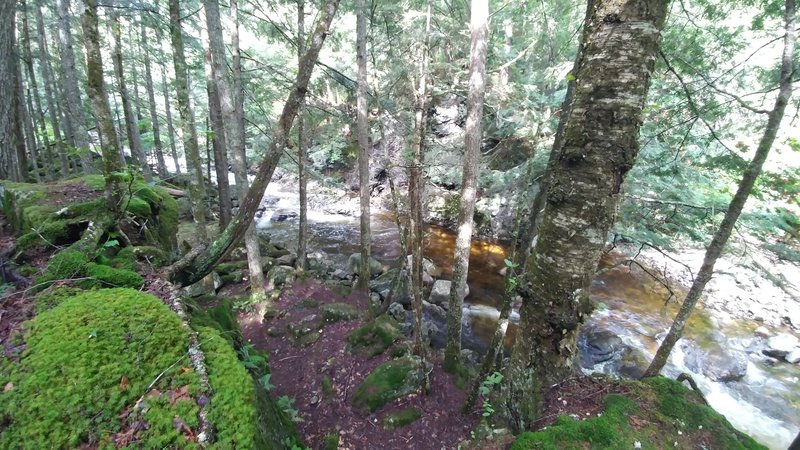 Brook by the trail.