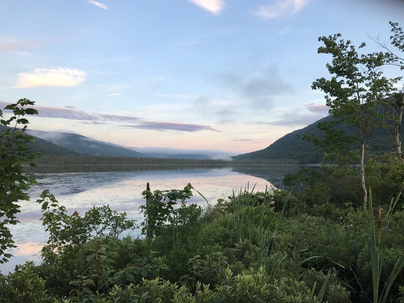 Labrador pond.