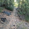 Along the Elliott Ridge Trail.