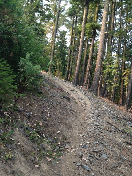 Steep section on Summit Lake Trail.