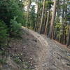 Steep section on Summit Lake Trail.