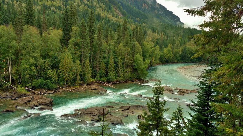 Fraser River from the Overlander Falls Trail