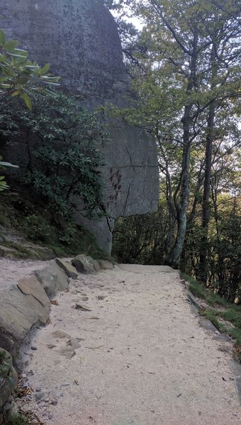 Freeway Trail around the knob.