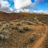 Climbing the singletrack on Rim Runner Loop.