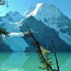 Mt. Robson (12,972 ft., highest in Canadian Rockies) across Berg Lake, with Berg Glacier (left) and Mist Glacier (right), from the Berg lake Trail