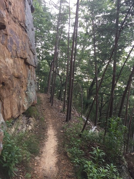 When climbing High Voltage, this is the section where you should think: "Get skinny!"  This is also right before the climbing really gets tough.