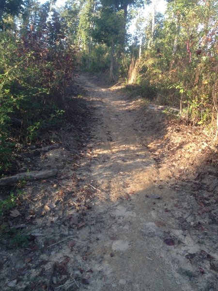 The Golf Course Loop branches off here. The intersection isn't marked, but a right turn will take you up to the Lodge.