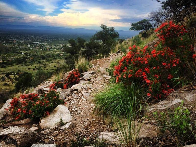 Gorgeous during monsoon season