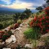 Gorgeous during monsoon season