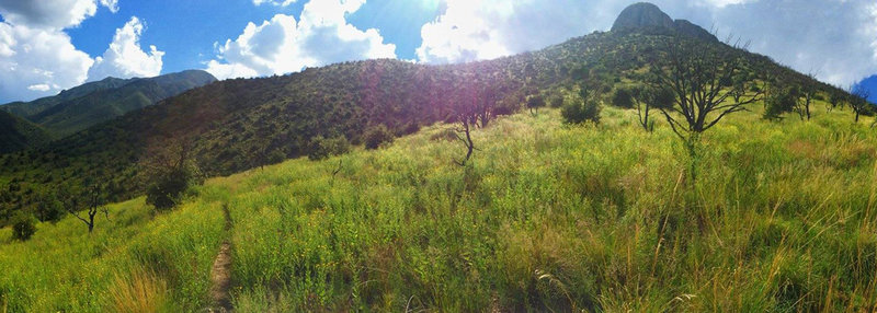 Beautiful mountain views from the Clark Spring Trail.