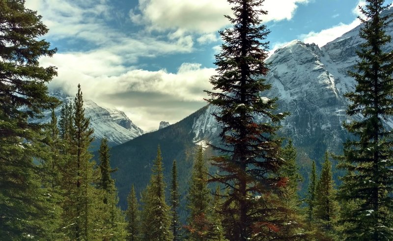 Views of the surrounding mountains emerge as one climbs on Paget Lookout Trail