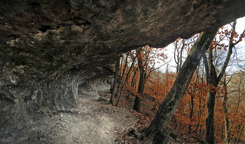 Redbud Valley Bluffs