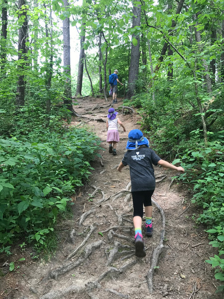 Some elevation change on the biking path part!