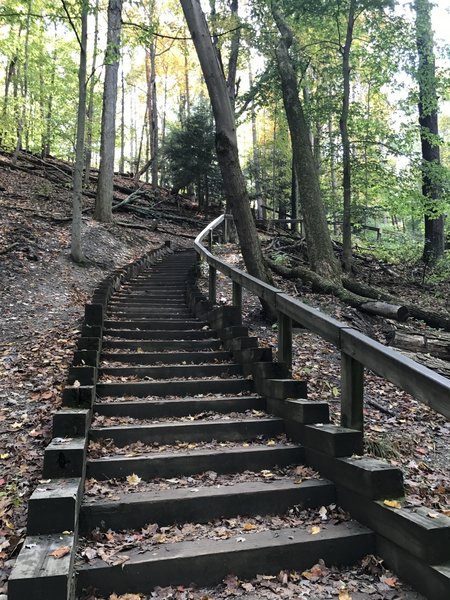 Stairs back up to Fort Hill