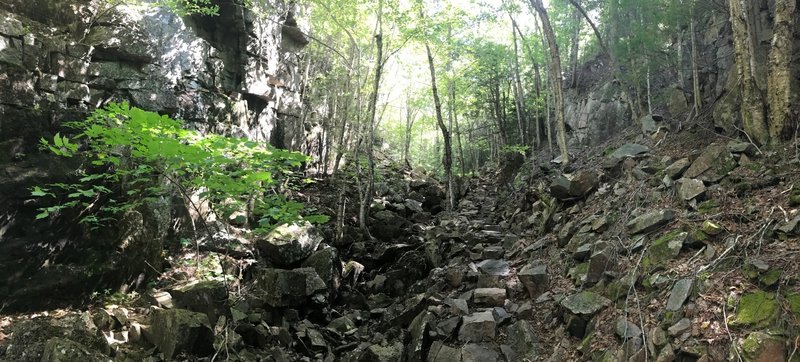 Typical section of the Gorge Trail