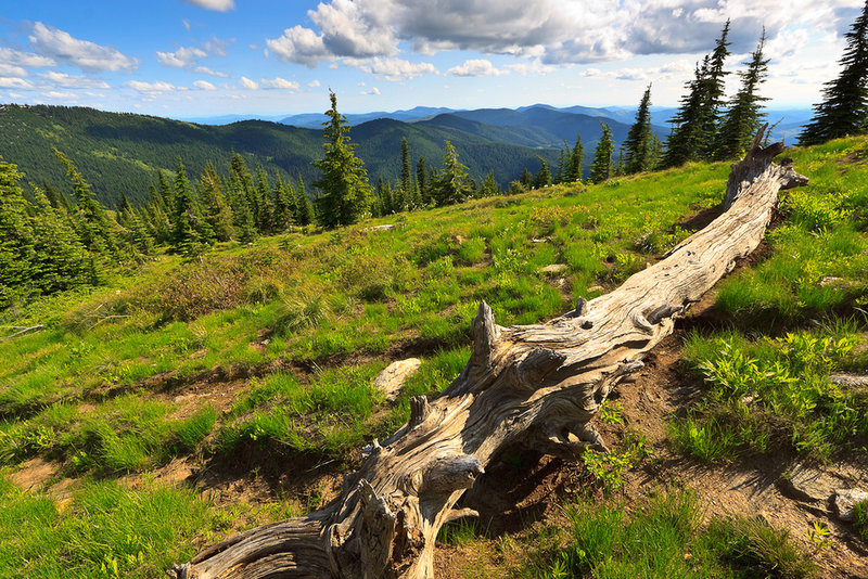 Meadow and View along the trail.