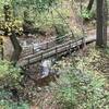 Bridge over the stream on the Schoen Trail