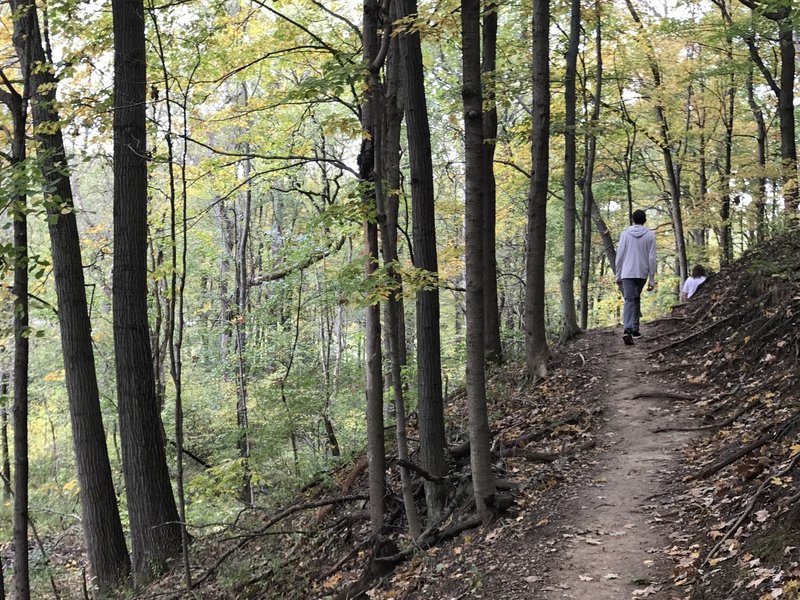 Hiking the trail