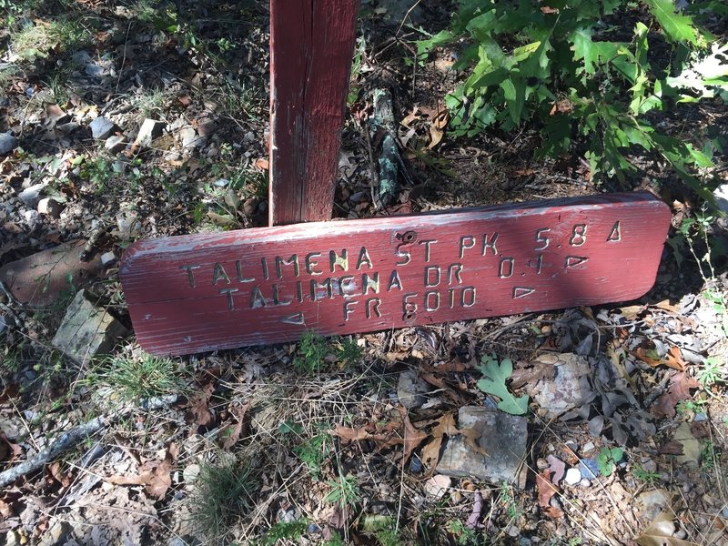 The beginning of the short cut to the Choctaw Nation Trail, starting near Talimena Drive