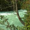 The silt laden Robson River flows swiftly along the Berg Lake Trail