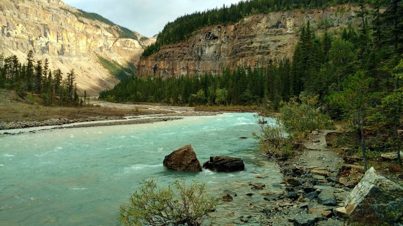 Robson River at the Whitehorn trail camp on the Berg Lake Trail