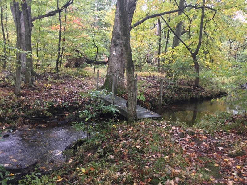 bridge over Merrill Creek