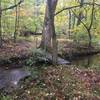 bridge over Merrill Creek